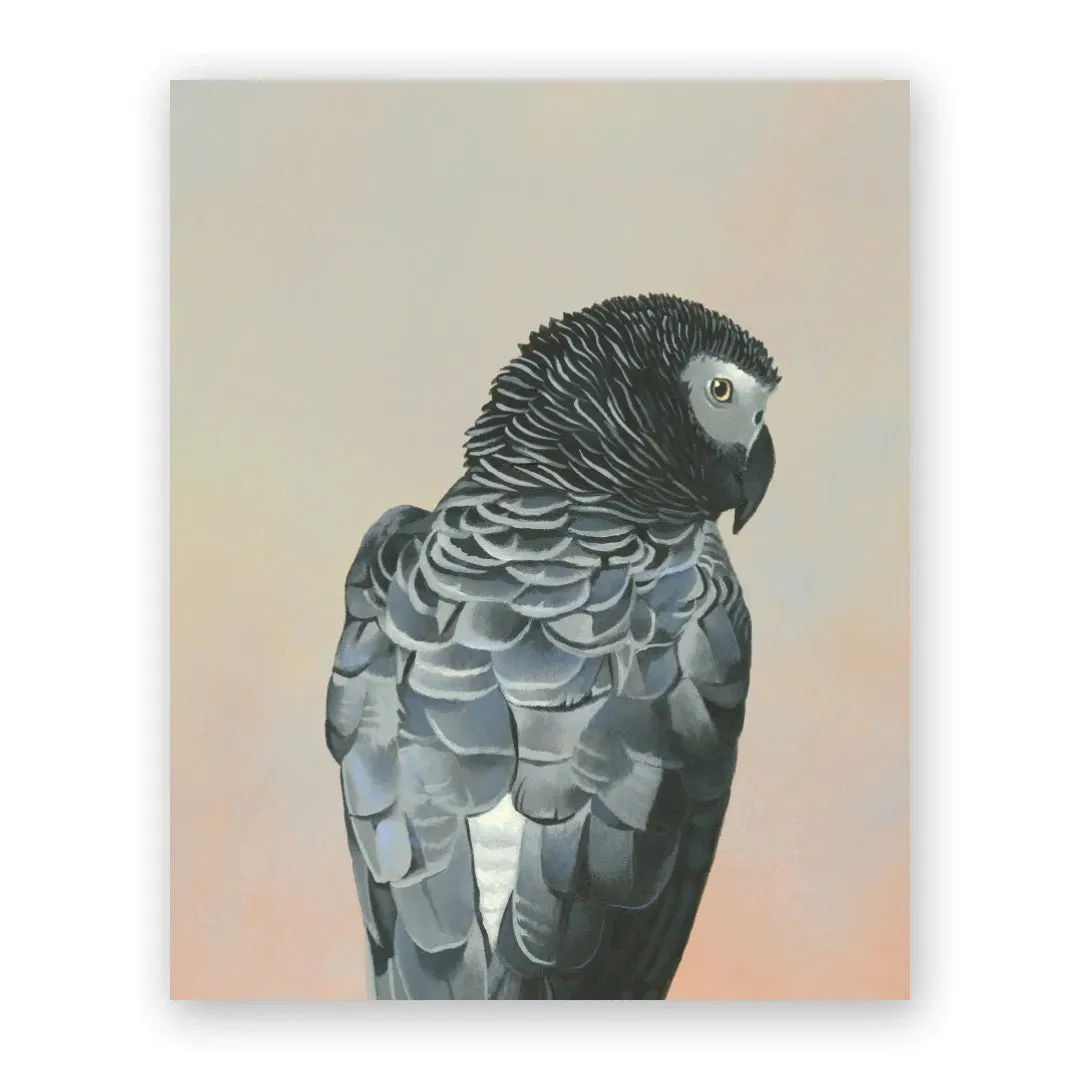 African Grey Parrot 8x10 Wings on Wood Panel