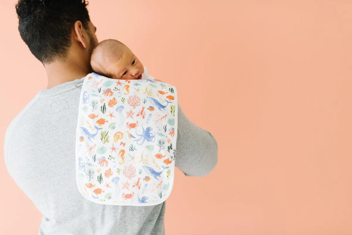 Burp Cloth, Nautical